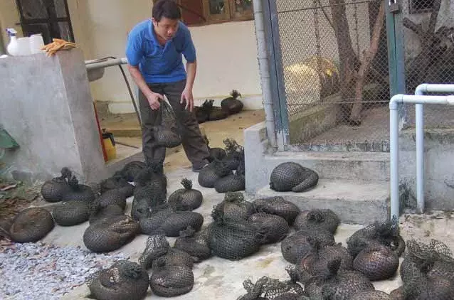 警察發現了大量被黑網裝起來的的動物,推門一看,臉色都變了...