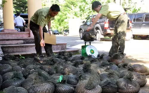 警察發現了大量被黑網裝起來的的動物,推門一看,臉色都變了...