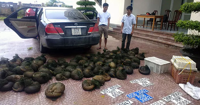 警察發現了大量被黑網裝起來的的動物,推門一看,臉色都變了...