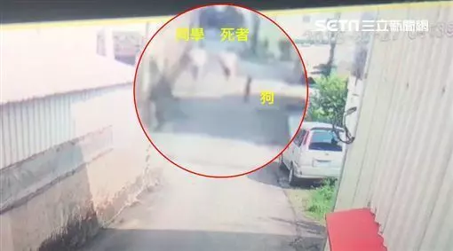 女童遭土狗追逐猝死 出生喪父扛家務