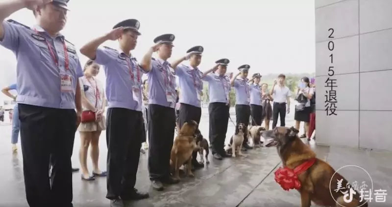 向警犬致敬!青春歲月「全奉獻給人民」 員警伴終生哽咽呼籲:它們也會害怕孤獨...