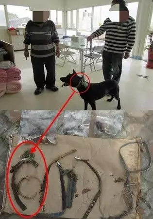 苗栗叔姪好心「假領養」20隻浪浪...竟以一隻300賣去台中屠宰!黑心肉恐不小心吃下肚.