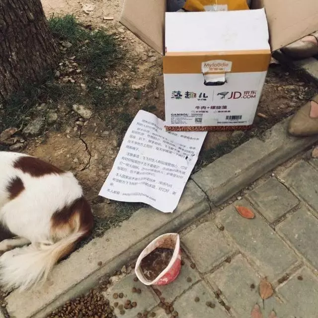 主人無奈將狗狗拋棄路邊,留下食物,一張紙條說出狗狗心酸故事