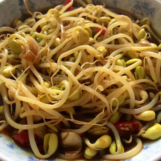 豆芽菜的19種做法,幾分鐘就上桌,香辣又開胃,一鍋飯都幹掉了!