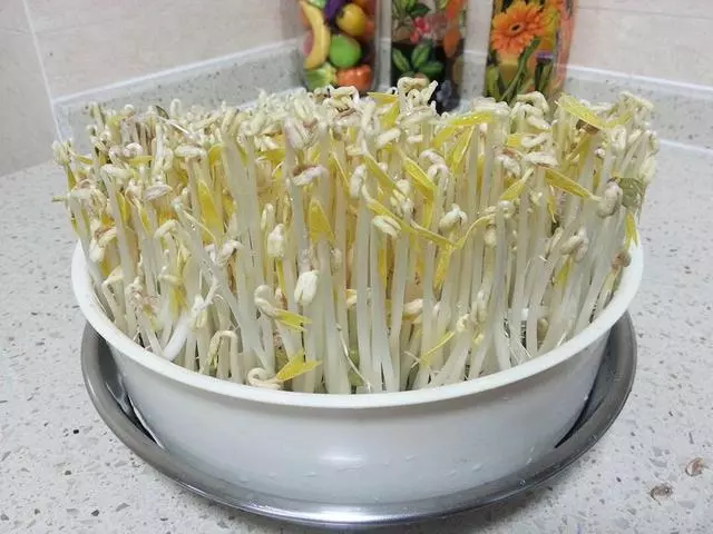 豆芽菜的19種做法,幾分鐘就上桌,香辣又開胃,一鍋飯都幹掉了!