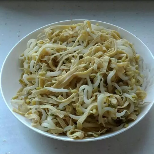 豆芽菜的19種做法,幾分鐘就上桌,香辣又開胃,一鍋飯都幹掉了!