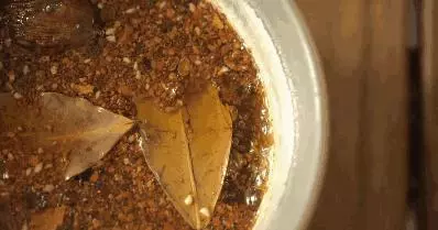 餃子換個煮法,立馬好吃10倍!