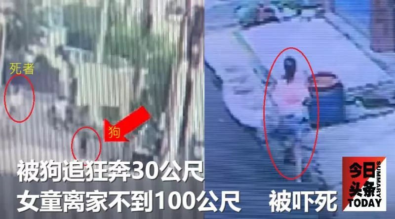 被狗追狂奔30公尺;女童離家不到100公尺被嚇死
