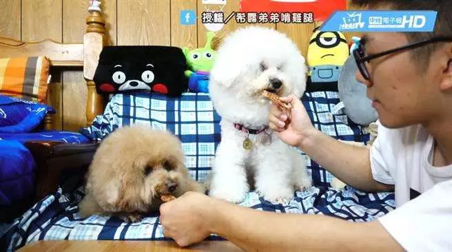 為了開冷氣吹涼涼 金金「3招設計主人」網喊:這智商太強了!