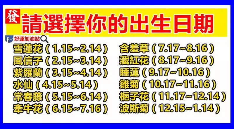 快確認你的生日,測你是什麼花,就是什麼命!準不準,一測就知道!