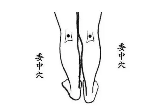 每天拍5分鐘,全身濕氣都排空!拍一次排一天,排走濕氣一身輕鬆