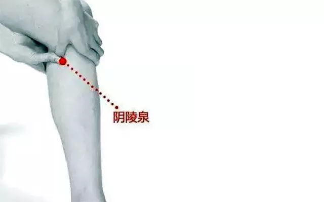 每天拍5分鐘,全身濕氣都排空!拍一次排一天,排走濕氣一身輕鬆