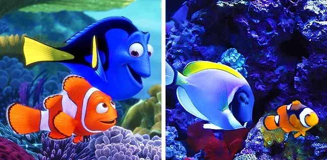14隻「完全和經典卡通里的角色一模一樣」的萌動物!