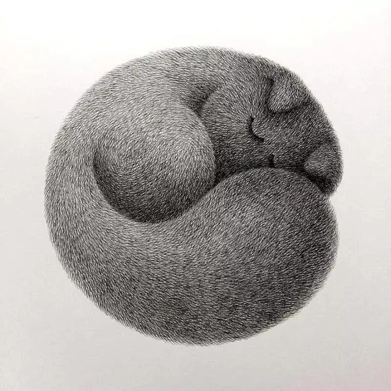 大馬插畫家用黑色墨水創作出「蓬鬆喵星人」 看一眼就很想把它帶回家