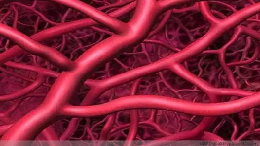 46-55歲是生命高危期,想健康,保證1處「凈」、3處「軟」!
