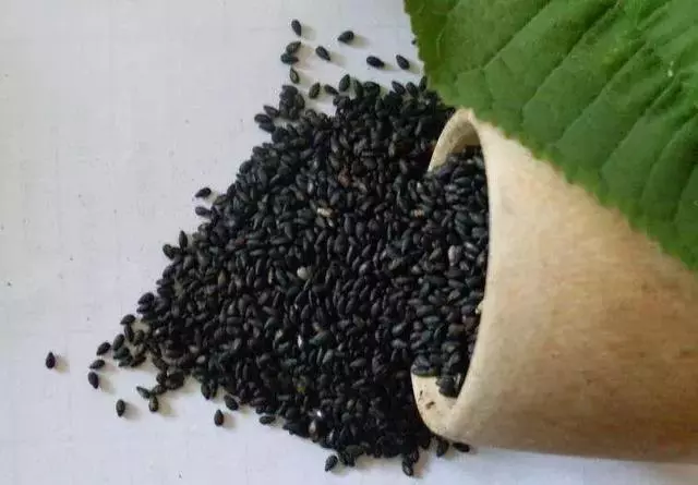 十種食物補肝血,健康生活每一天