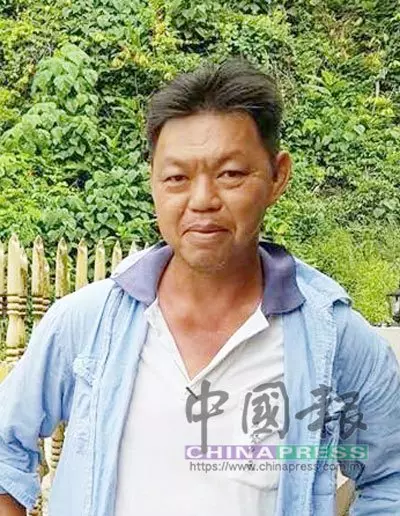 強風吹倒80棵榴槤樹 園主欲哭無淚