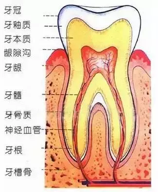 孩子蛀牙並不全是因為吃糖,這些原因容易被忽視!