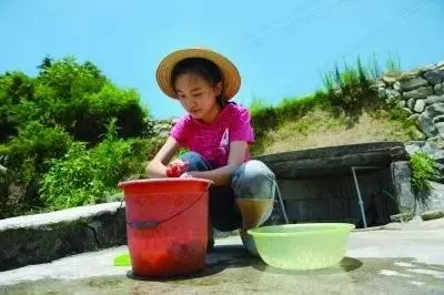 姐姐把弟弟養大,供他讀書,高考後,弟弟留一封信,姐姐哭成淚人