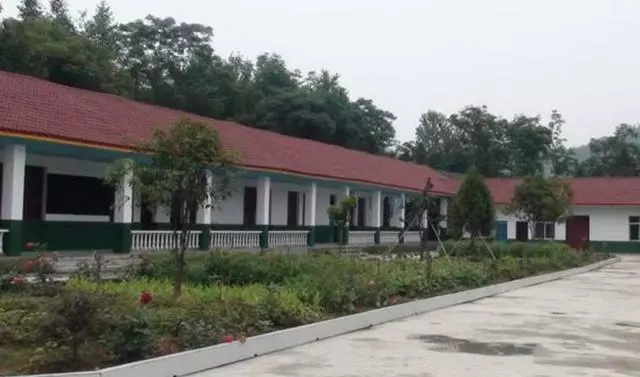 母親痴呆後哥嫂欲送養老院,我接回婆家照顧,過了兩年我便發了財