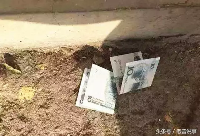 拾荒老人空手出門,撿夠100元才回,我偷偷跟去,見到一幕紅了眼