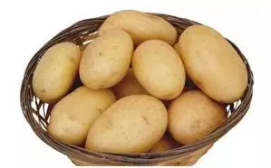 狗狗不能吃的六種蔬菜,你喂食過幾種?