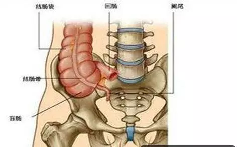 9歲男童腹痛兩天後離世,丈夫責罵妻子:都是你害的惡毒的婆娘!