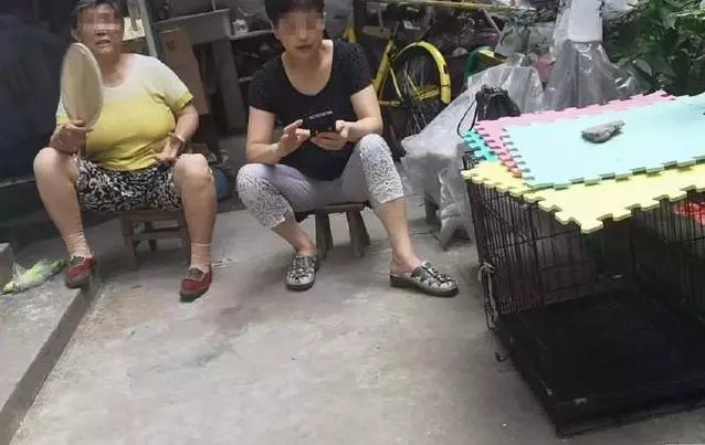 六天時間,兩位父親殺死親生女兒,離奇案件背後滿是心酸和無奈
