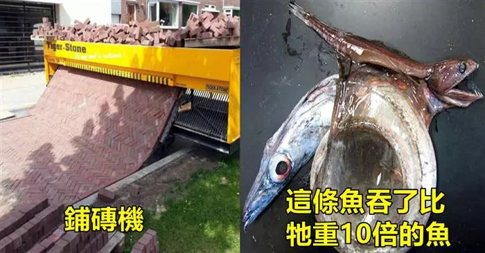 22張「讓你重新認識這個世界」的超驚奇照片,#2 日落和日食同時發生的時候天空變得好漂亮 !