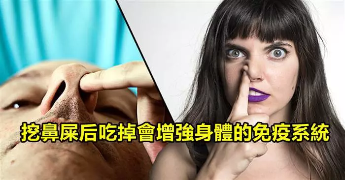 專家揭露了挖鼻屎後吃掉有這樣的「神奇好處」,但我相信沒有人願意嘗試!