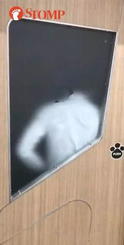 卡拉OK開房胡搞被逮 擋門求先讓她穿好衣