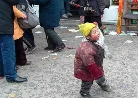 母親救一小乞丐,回家後小乞丐卻把母親養老錢搶走,實情令人感動