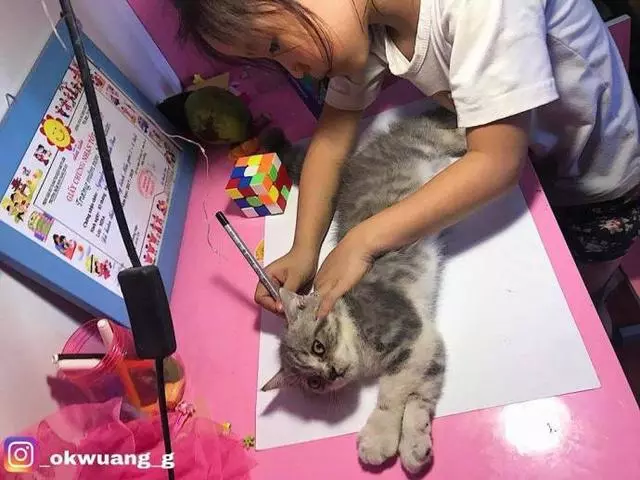 老師給小女孩布置了一個畫貓的作業,她不會畫,於是……