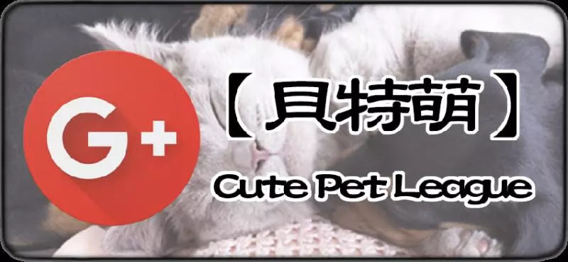 老師給小女孩布置了一個畫貓的作業,她不會畫,於是……