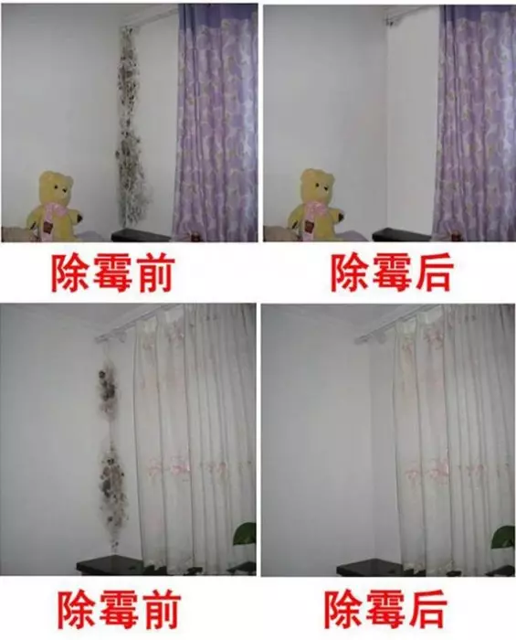 【 牆壁發霉怎麼辦? 】超有效的除霉方法! 讓房子煥然一新!