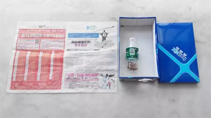 【 水瓶+報紙=滅蟑螂神器! 】真的超有效! 而且一點化學藥劑都沒有