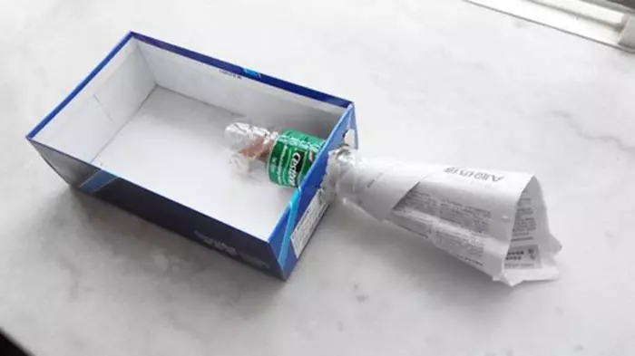 【 水瓶+報紙=滅蟑螂神器! 】真的超有效! 而且一點化學藥劑都沒有