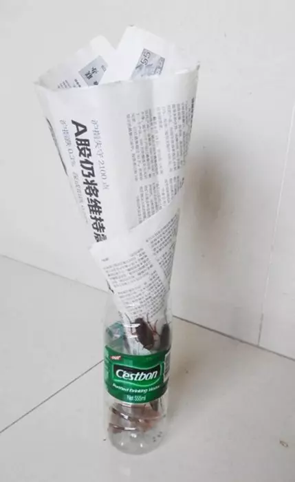 【 水瓶+報紙=滅蟑螂神器! 】真的超有效! 而且一點化學藥劑都沒有