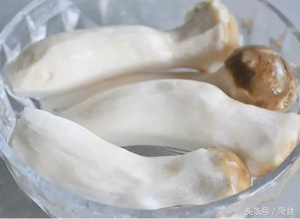 自從吃了那個香煎杏鮑菇,我已不想再吃肉了~做法超簡單,只需一個平底鍋就可以做好了