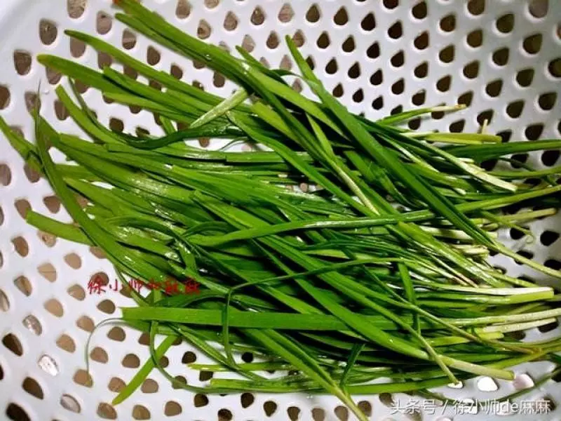 「韭菜雞蛋餅」怎麼做又香又好吃?一個小妙招,讓你吃了還想吃,停不了,早餐必備