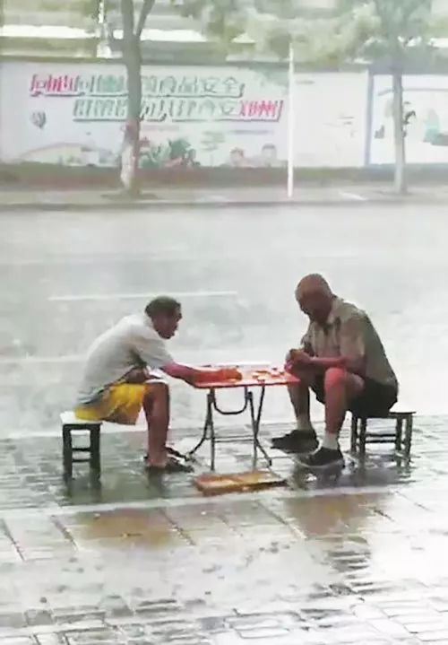 暴雨中淡定下棋 兩大爺紅了