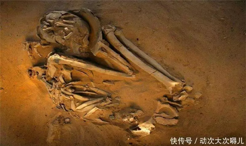 千年古墓出土神秘蒙面公主,專家剝開衣服後,大喊:危險,快走!