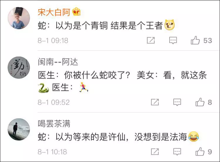 強!女子被咬傷,捉著活蛇淡定求醫!!