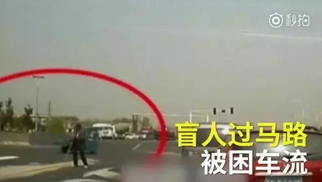 當你累了,就看看這17張圖片吧!