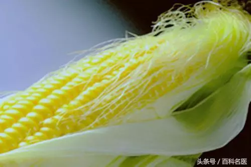 這茶可以輔助治療多種慢性病!「玉米須茶」,應該怎么喝才有用?