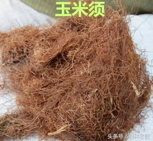 這茶可以輔助治療多種慢性病!「玉米須茶」,應該怎么喝才有用?