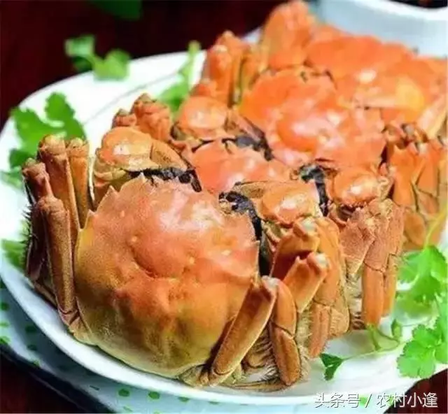 100年吃不膩的20道菜,味道鮮美,香辣過癮吃的爽,一粒米都不剩