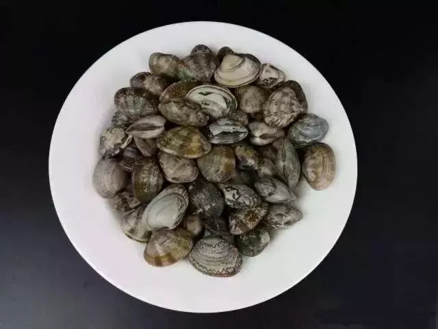 喜歡吃螺的 2分鐘讓海螺、田螺迅速把沙土吐乾淨，趕緊學起來