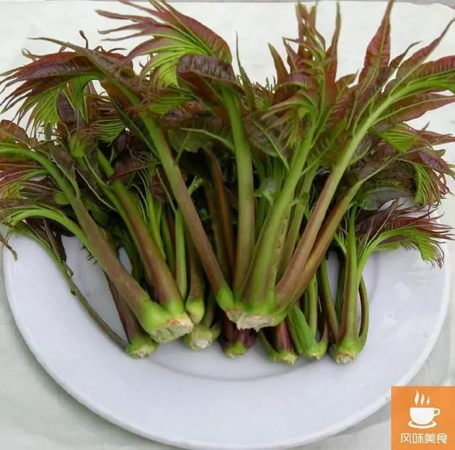 亞洲第一蔬菜!比地瓜葉好十幾倍,降血糖、降血壓、止瀉、止血!不吃虧大了