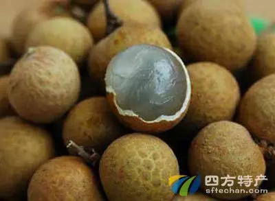 一樣東西泡水喝降低近視!失眠喝了七日痊癒!90%的人不知道正確煮法!